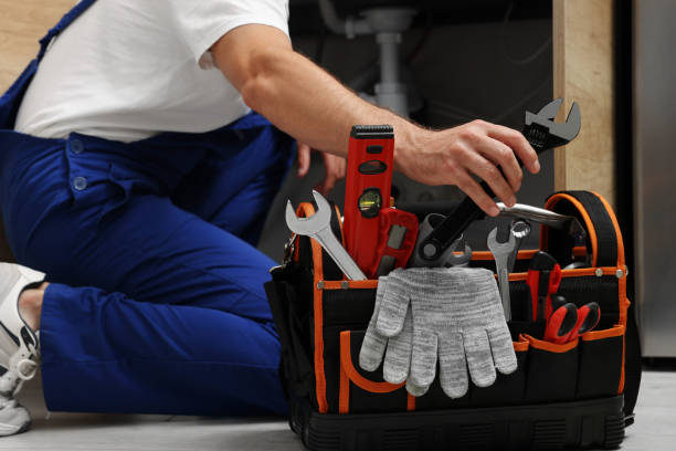 Best Plumbing Services Near Me  in Shenandoah Junction, WV